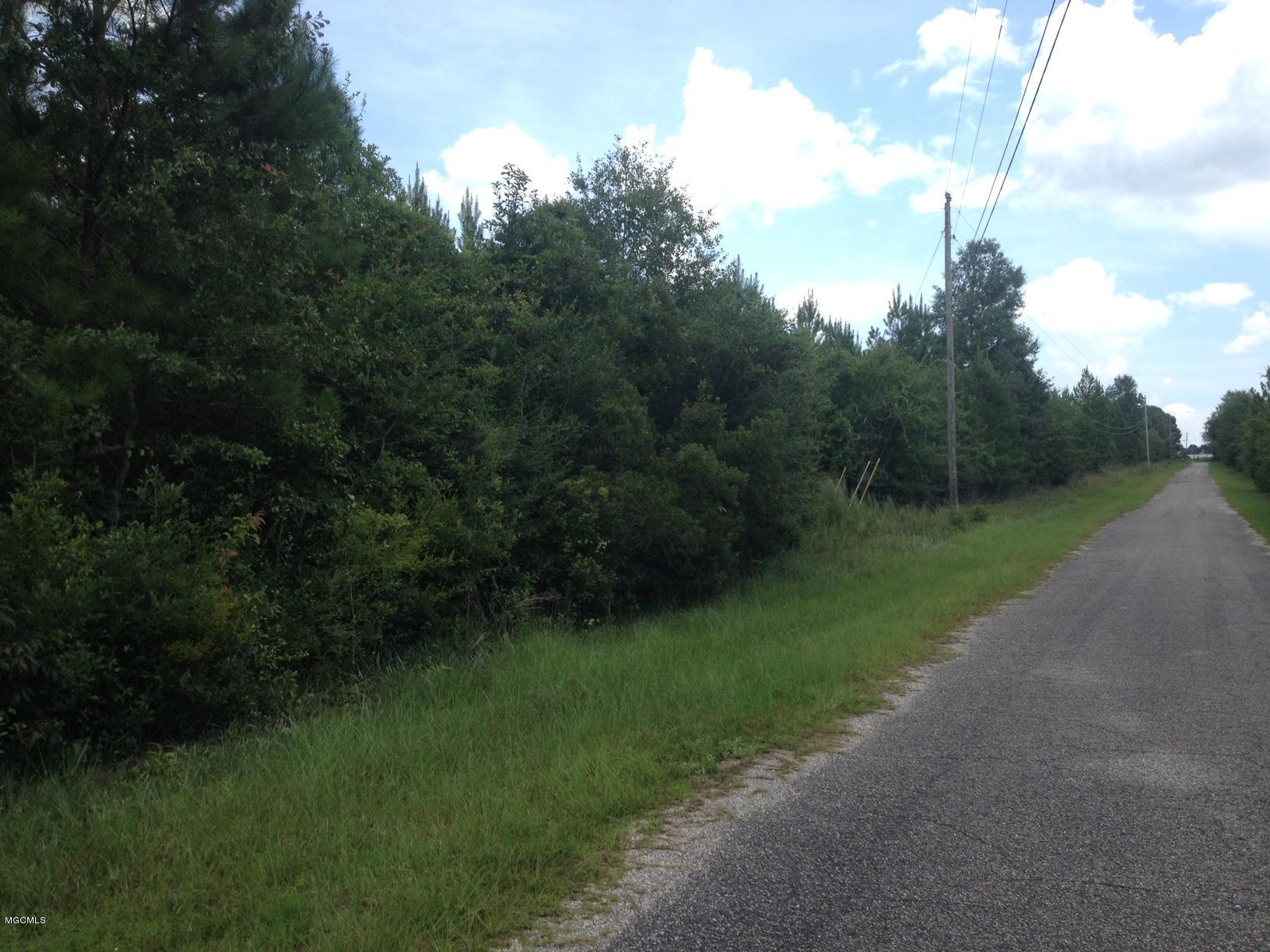 Tbd Owen Ladner Road Perkinston, MS 39573 - Photo 2 of 22 IMG_2579