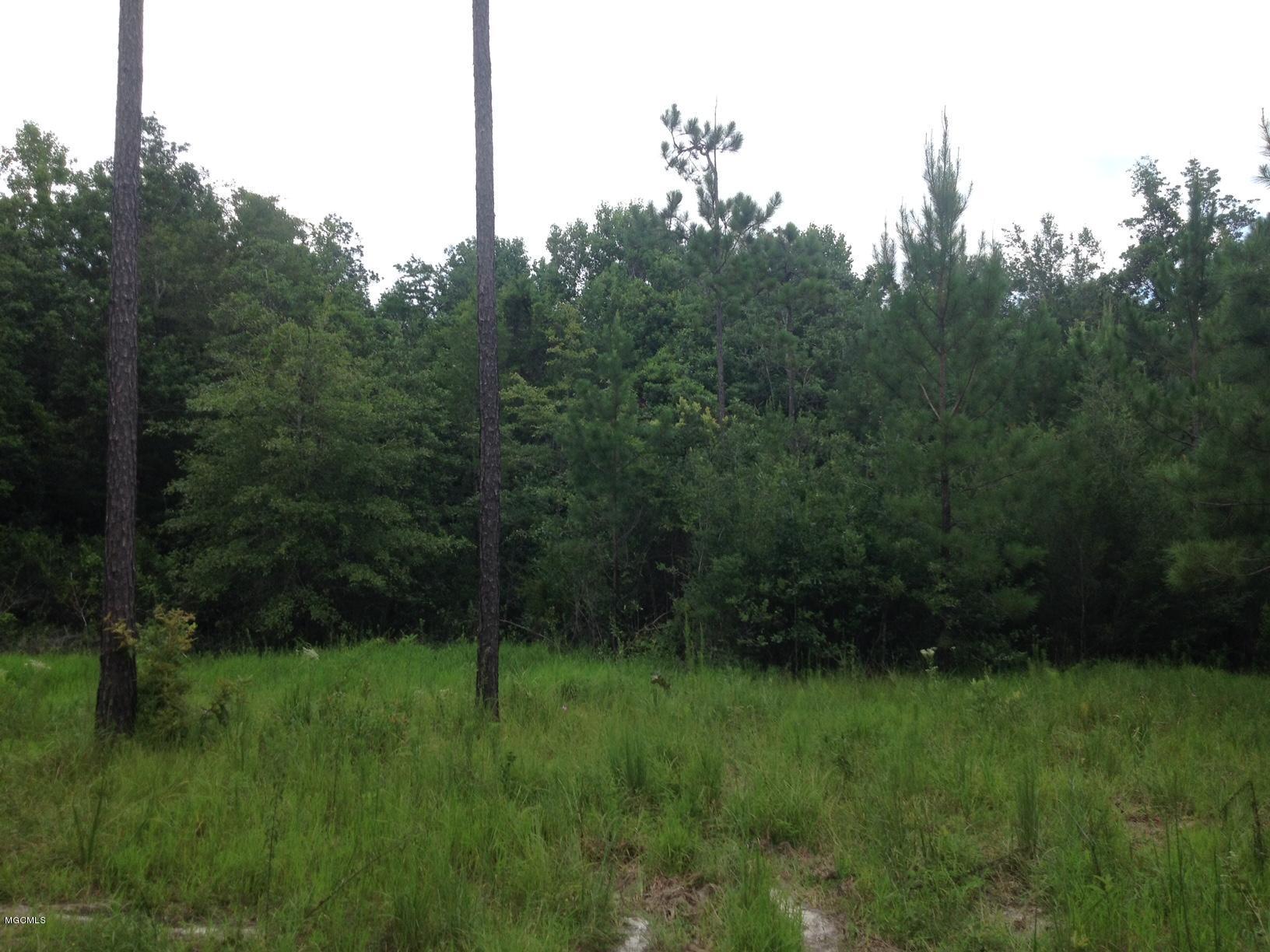 Tbd Owen Ladner Road Perkinston, MS 39573 - Photo 3 of 22 IMG_2582