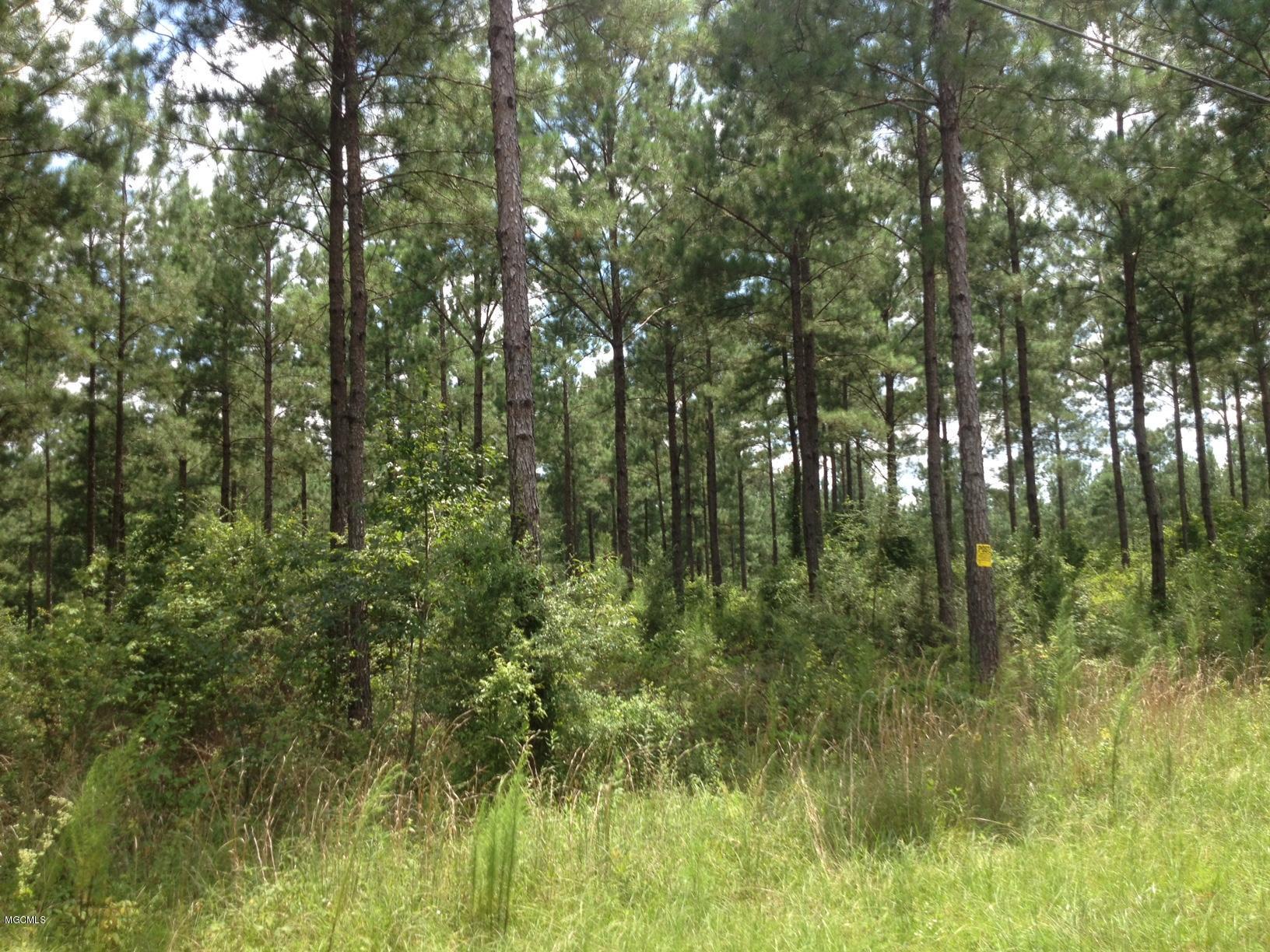 Tbd Owen Ladner Road Perkinston, MS 39573 - Photo 6 of 22 IMG_2587