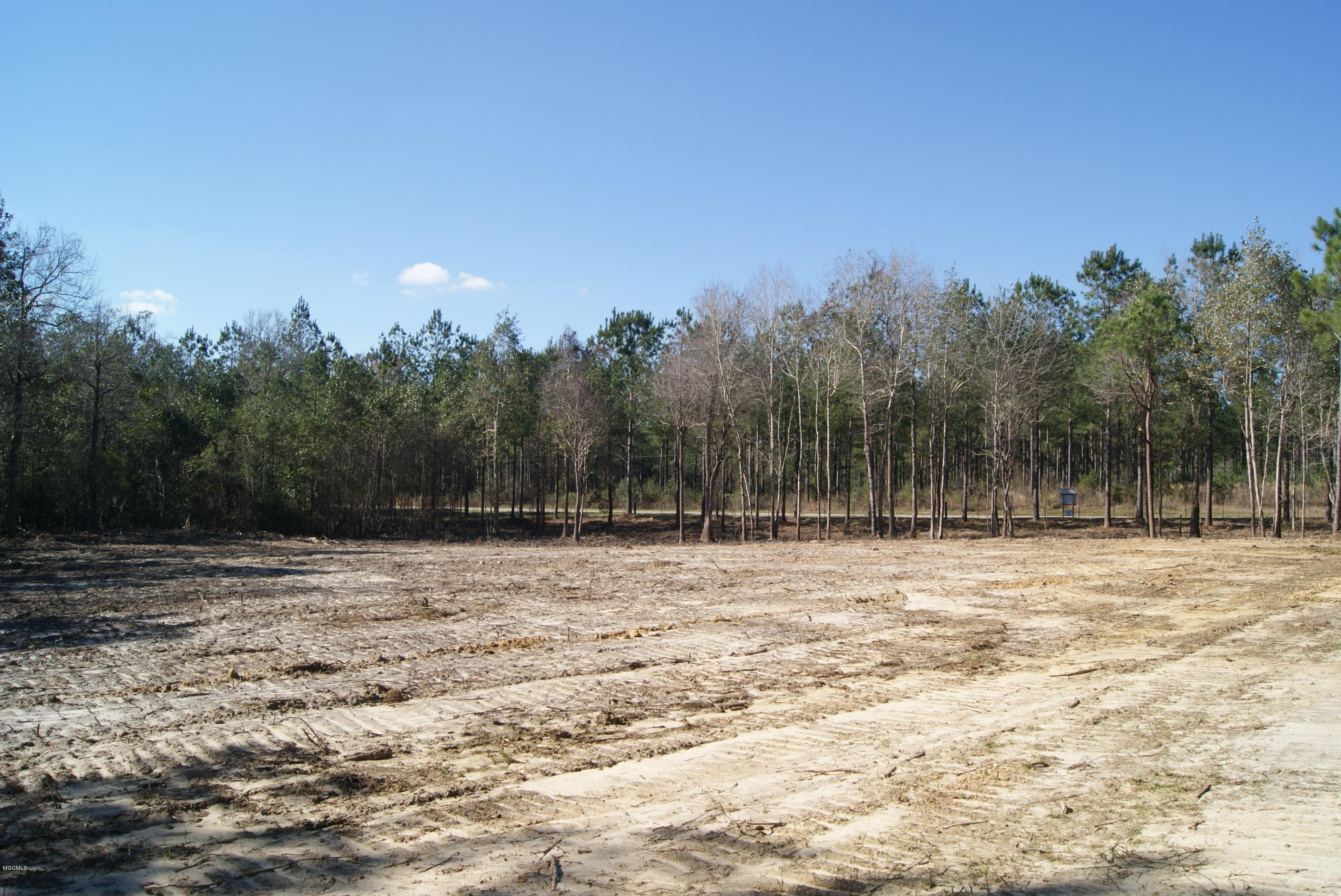 Tbd Owen Ladner Road Perkinston, MS 39573 - Photo 10 of 22 DSC04900