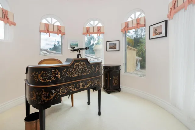 a view of a park with palm trees