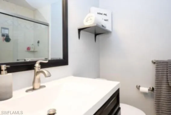 a bathroom with a sink vanity and toilet