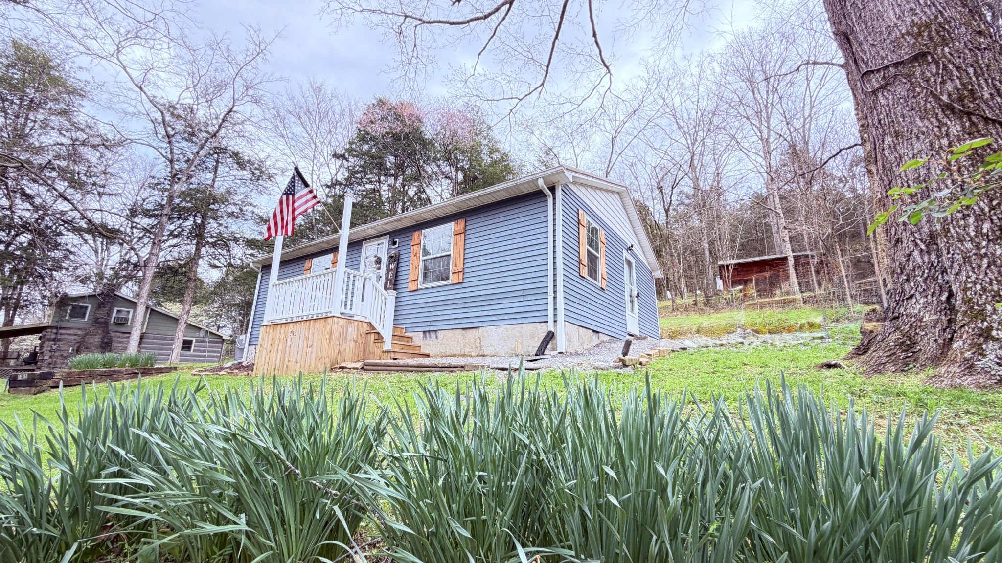 313 Waynick Road Gainesboro, TN 38562 - Photo 4 of 44