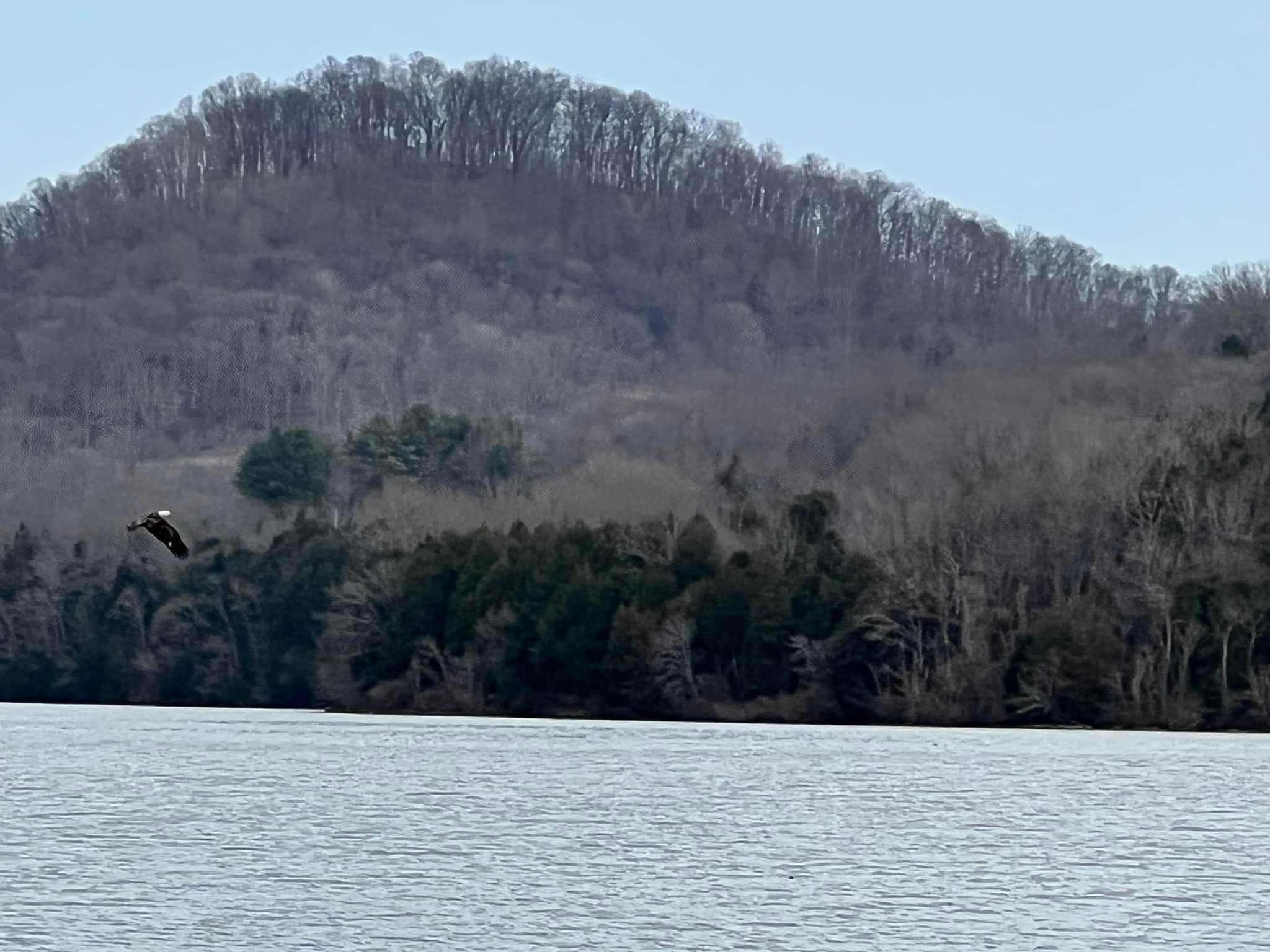 313 Waynick Road Gainesboro, TN 38562 - Photo 41 of 44