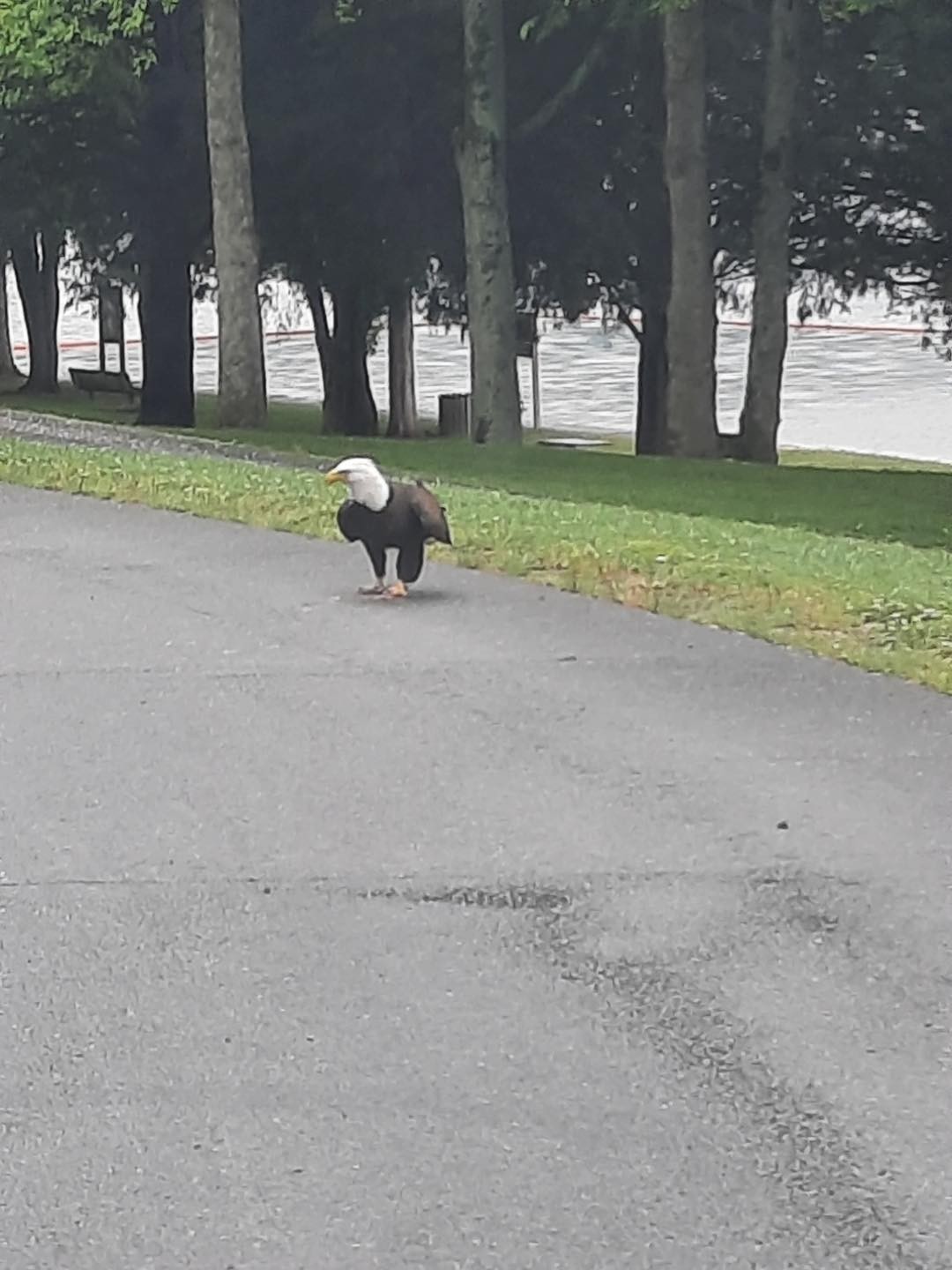 313 Waynick Road Gainesboro, TN 38562 - Photo 42 of 44