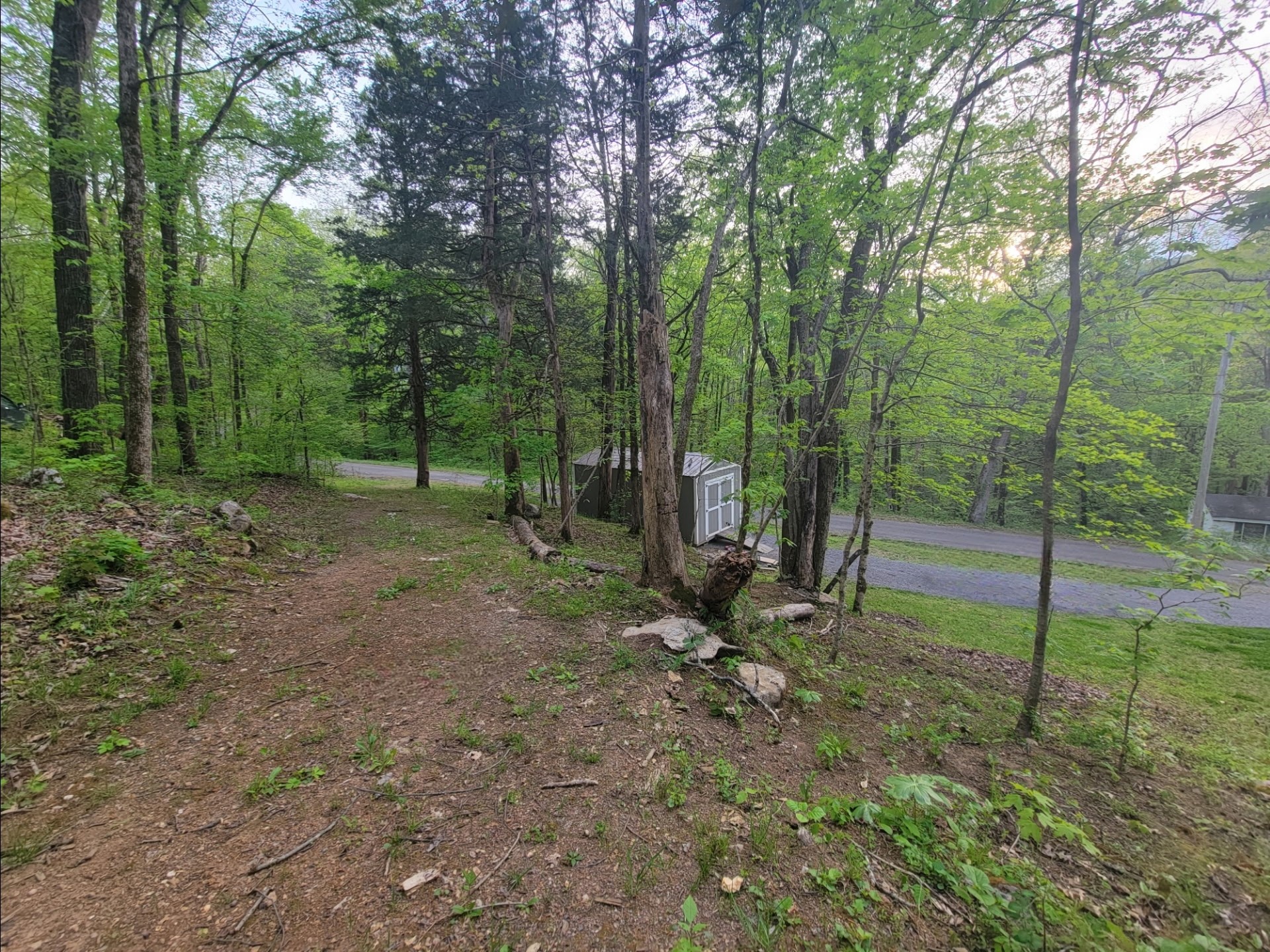 313 Waynick Road Gainesboro, TN 38562 - Photo 47 of 56