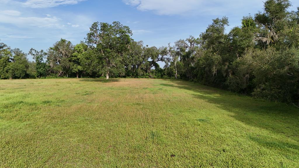 Vacant 145th Road Live Oak, FL 32060 - Photo 17 of 42