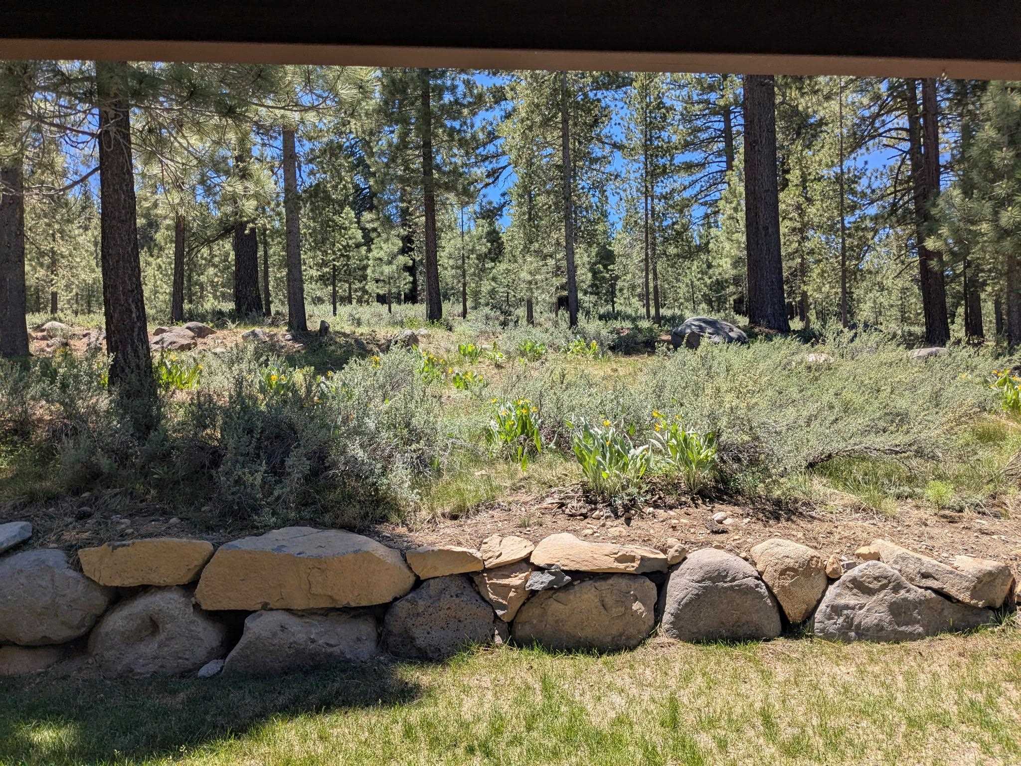 11541 Dolomite Way, Unit 3 Truckee, CA 96161 - Photo 12 of 28 a view of outdoor space and patio