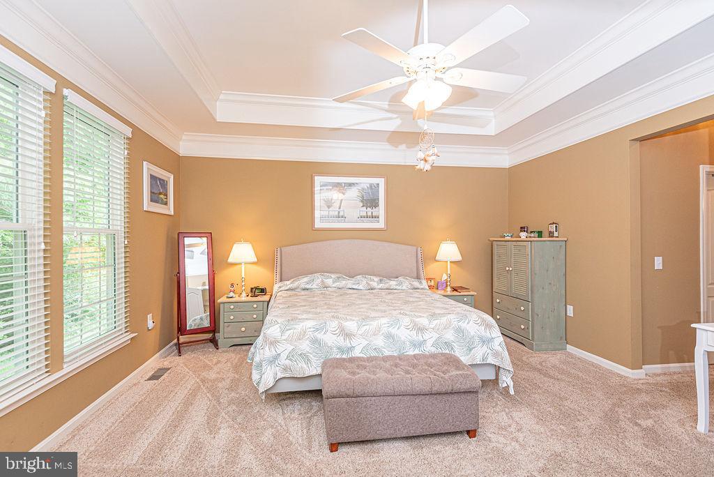 7 Long Point Court Ocean Pines, MD 21811 - Photo 19 of 53 Primary BR on 1st Fl with tray ceiling