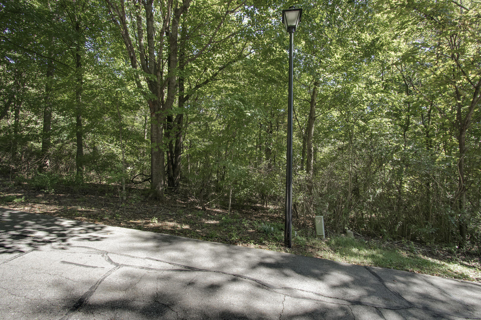 0 Quail Ridge Road Athens, TN 37303 - Photo 2 of 9 02_QuailRidgeRoad_Lot3_Street_E