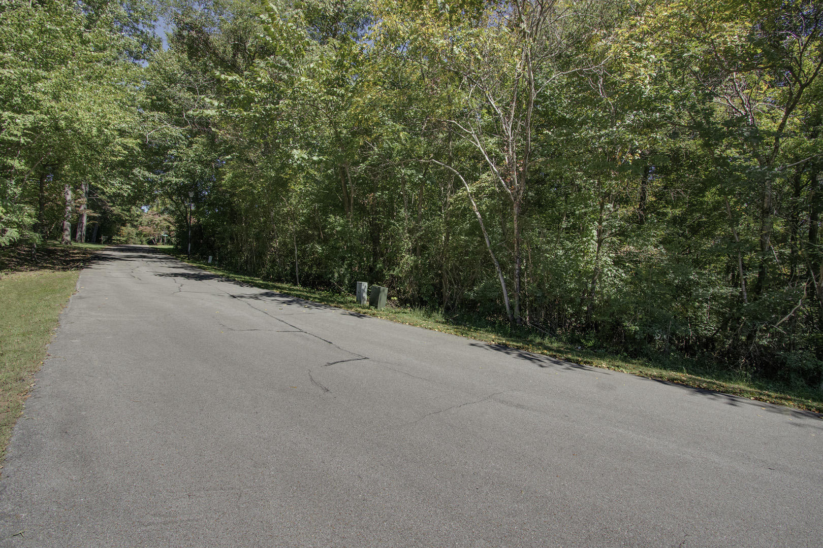 0 Quail Ridge Road Athens, TN 37303 - Photo 3 of 9 03_QuailRidgeRoad_Lot3_Street_N-NE