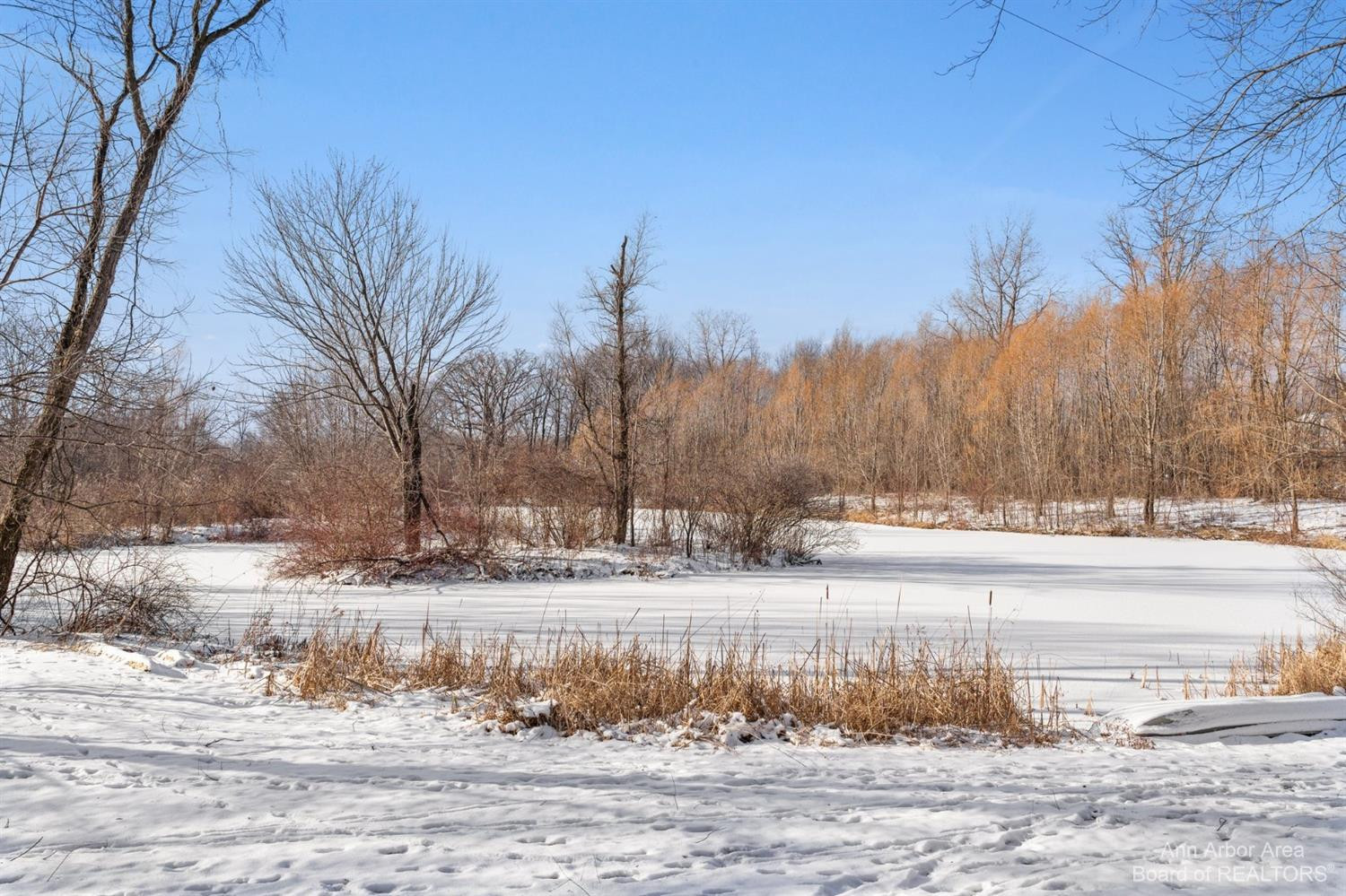 8101 Earhart Road South Lyon, MI 48178 - Photo 9 of 54 Photo 9