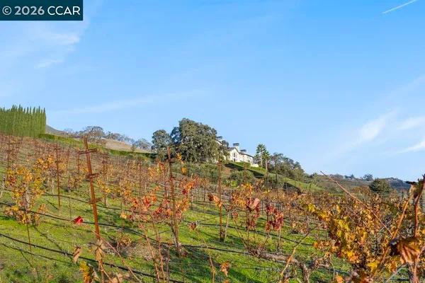 $16,500,000 | 10 Serenity Lane, Alamo, CA 94507