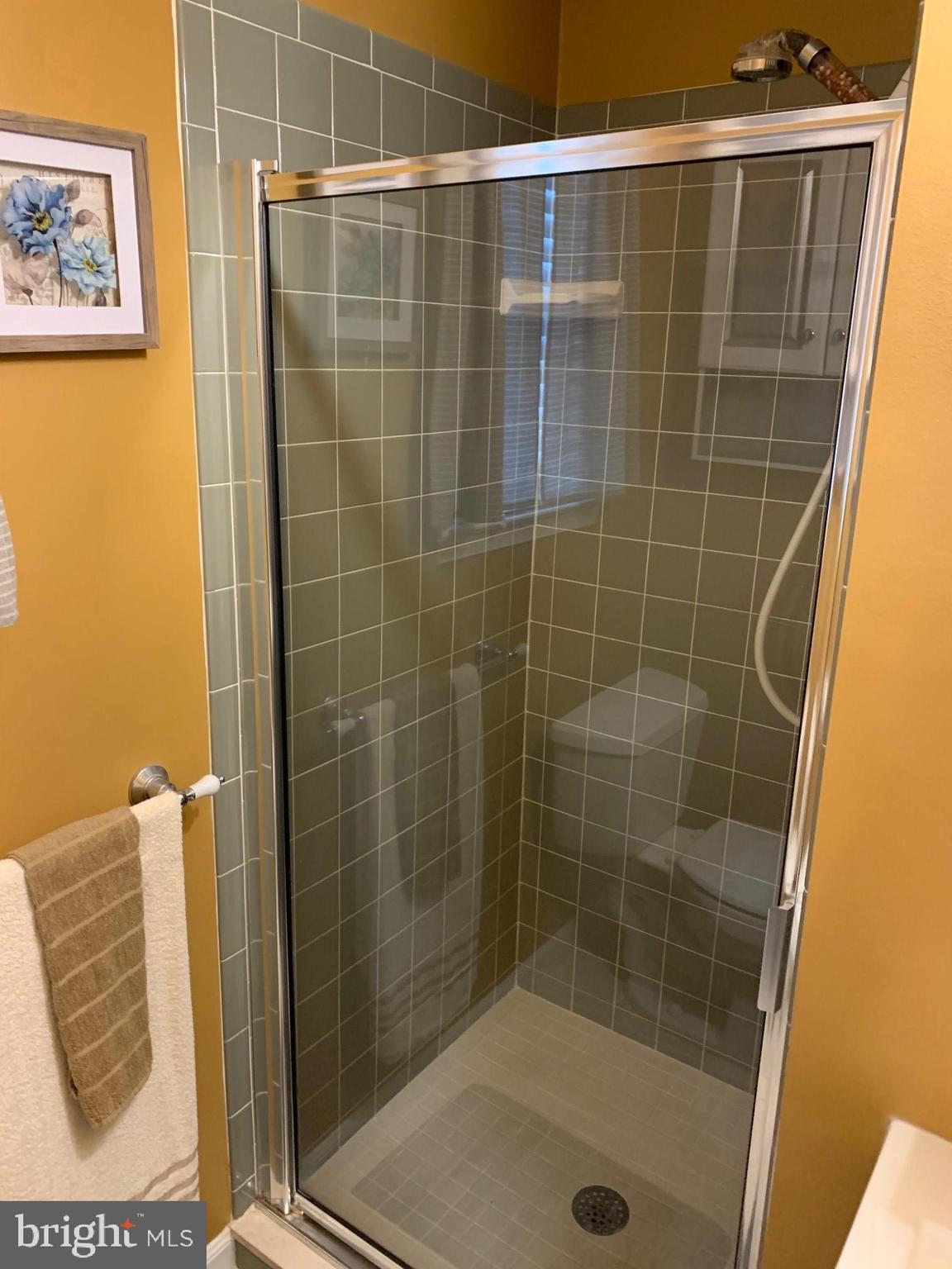 3208 Raye Road Thorndale, PA 19372 - Photo 20 of 36 Master Shower
