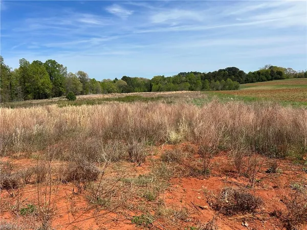 $45,000 | 0 Amos Ridge Road, Sandy Ridge, NC 27046