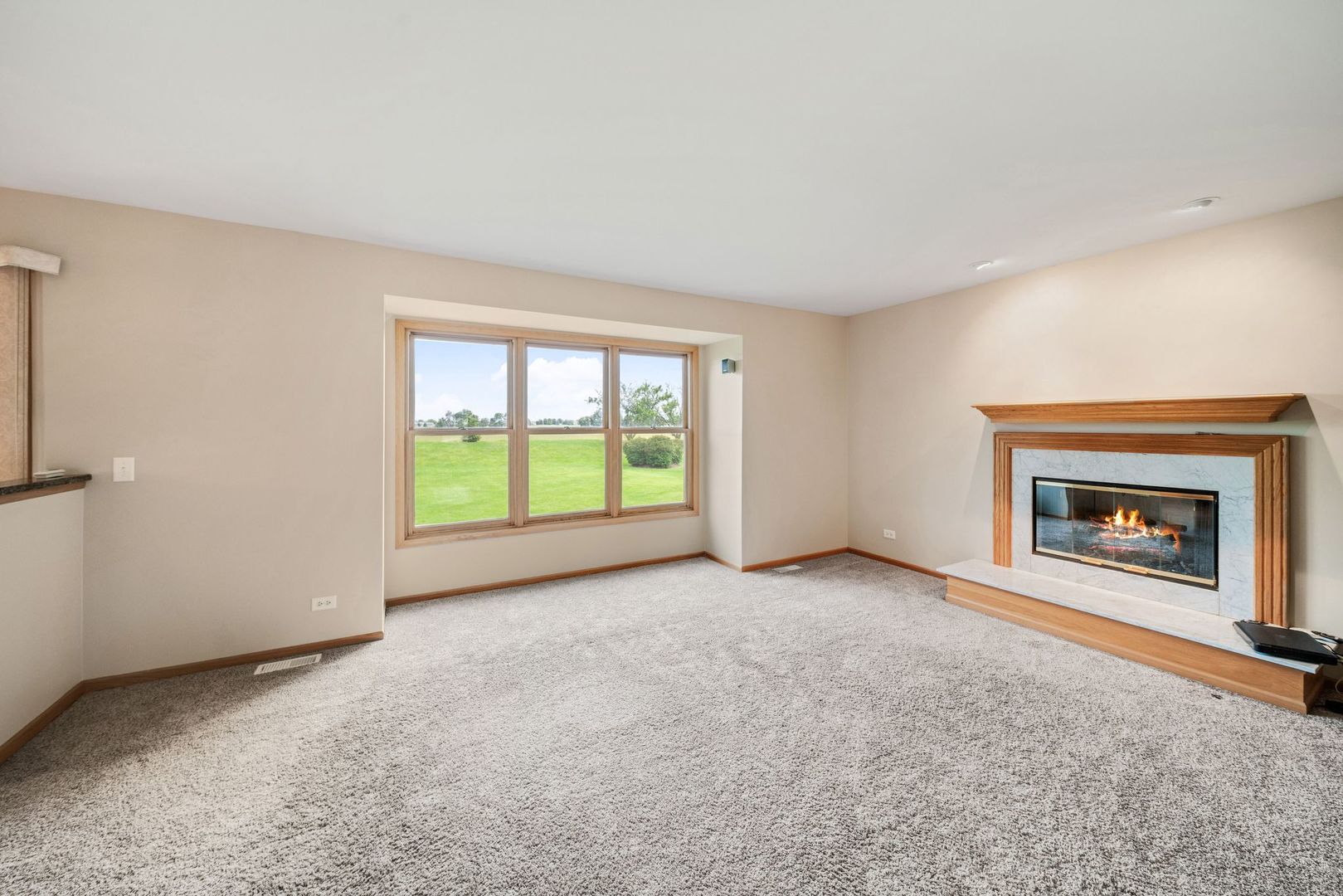 1609 Elm Street Spring Grove, IL 60081 - Photo 6 of 26 an empty room with windows and fireplace