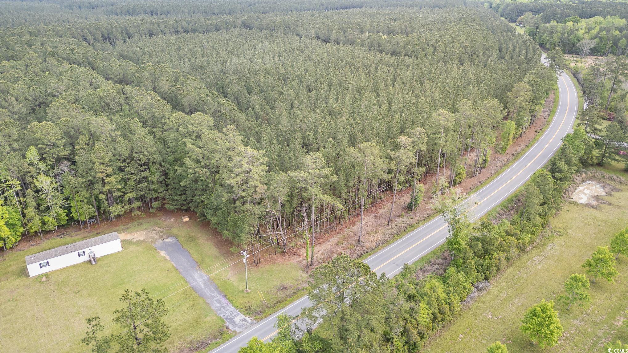 4600 Saints Delight Road Georgetown, SC 29440 - Photo 29 of 33 Gallery Image 29