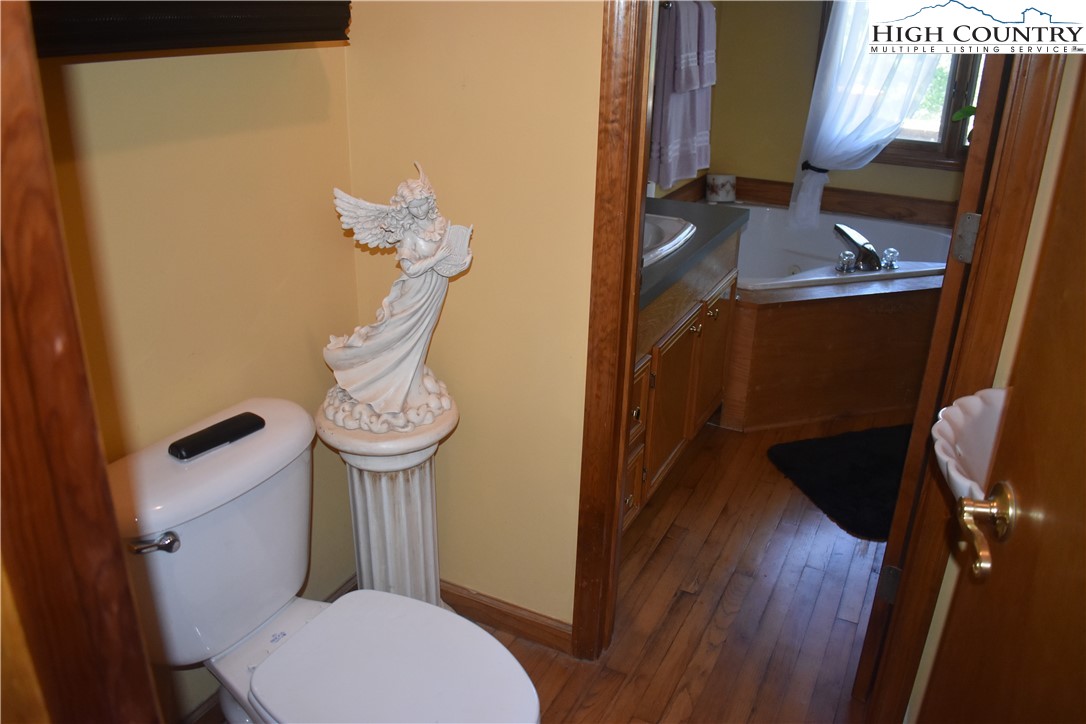 592 River Hills Road Lansing, NC 28643 - Photo 20 of 36 a bathroom with a toilet a sink and mirror