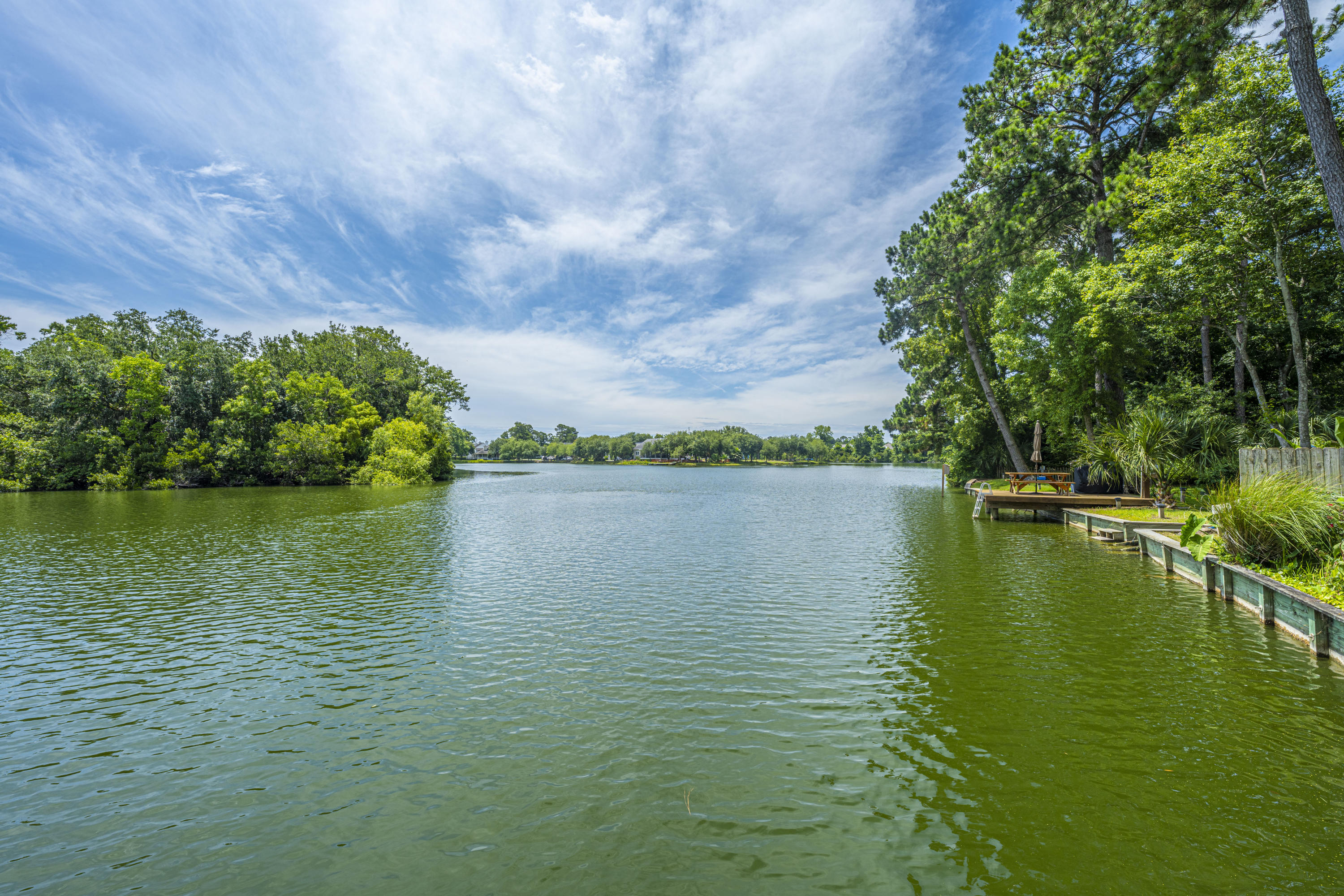 1360 Woodlock Road Mount Pleasant, SC 29464 - Photo 8 of 21 1360WoodlockRd48