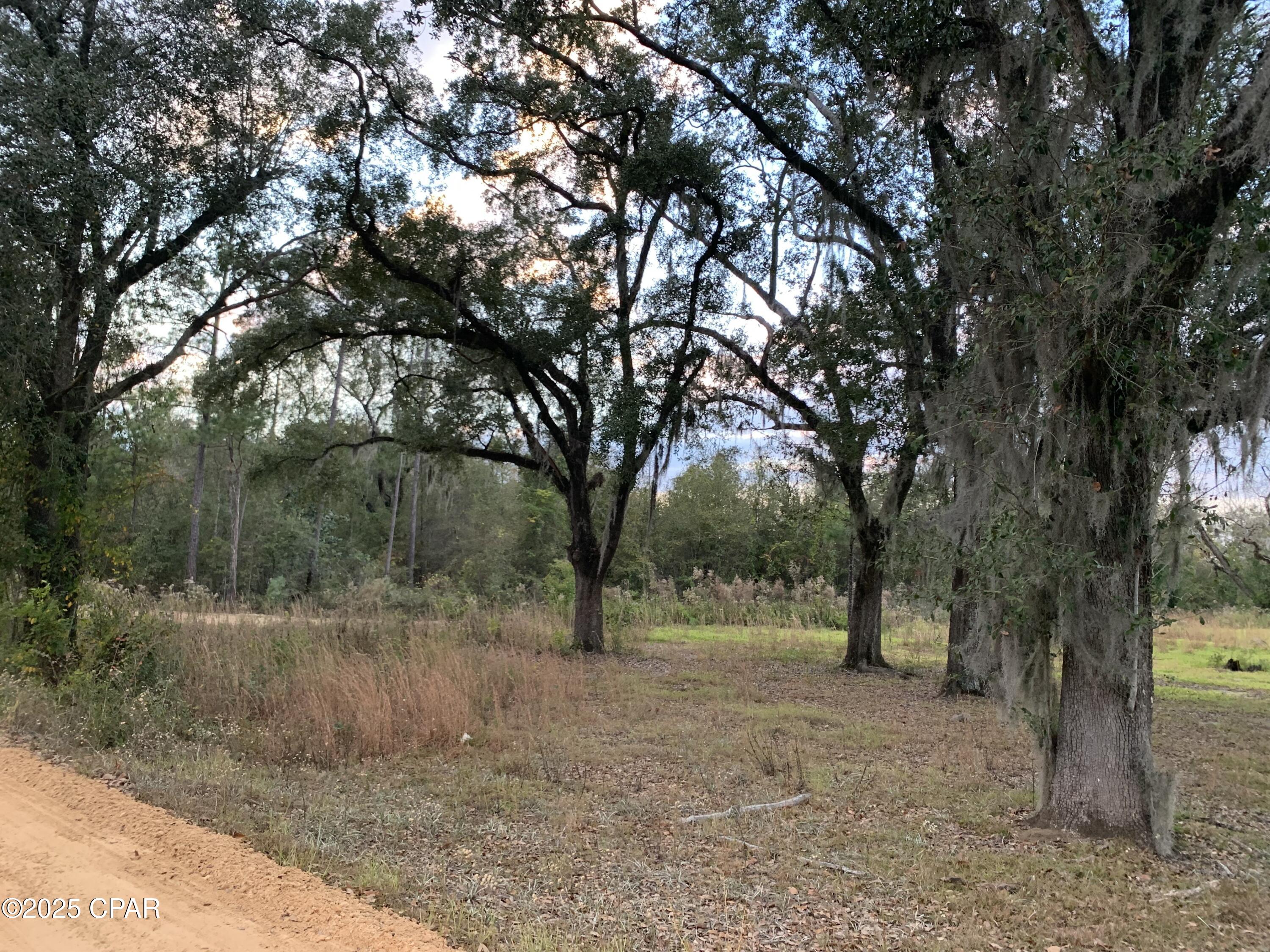 7010 Nobles Road Grand Ridge, FL 32442 - Photo 2 of 11