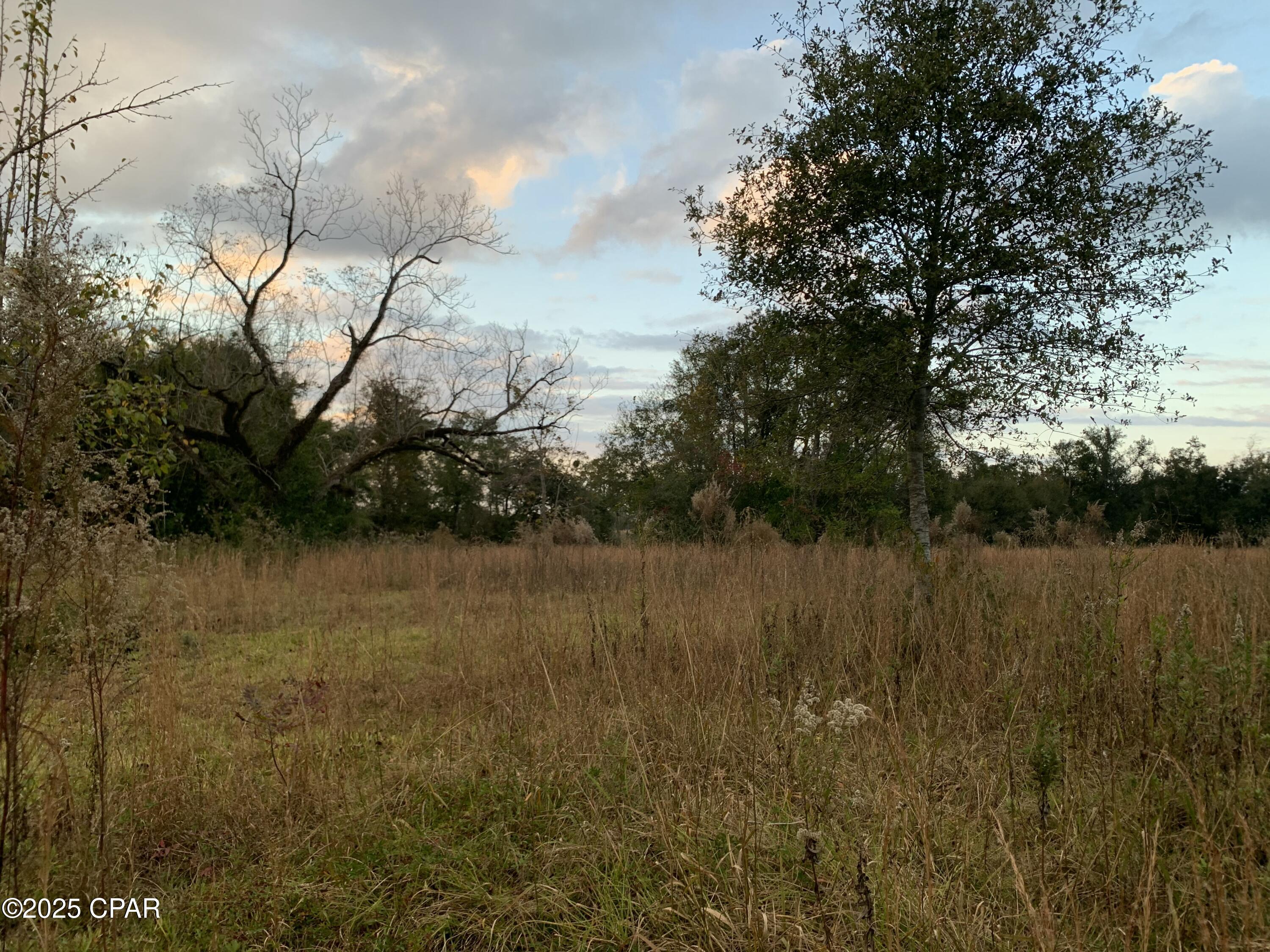 7010 Nobles Road Grand Ridge, FL 32442 - Photo 3 of 11