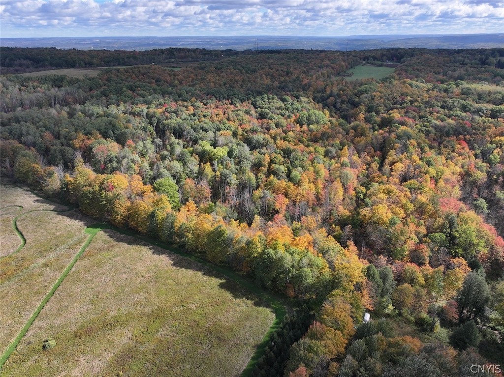 Hooker Hill Road Gowanda, NY 14070 - Photo 5 of 37 Gallery Image 5