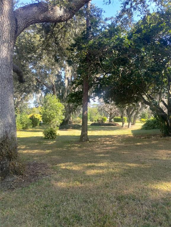 46 Nottingham Way Haines City, FL 33844 - Photo 17 of 18 a view of yard with trees