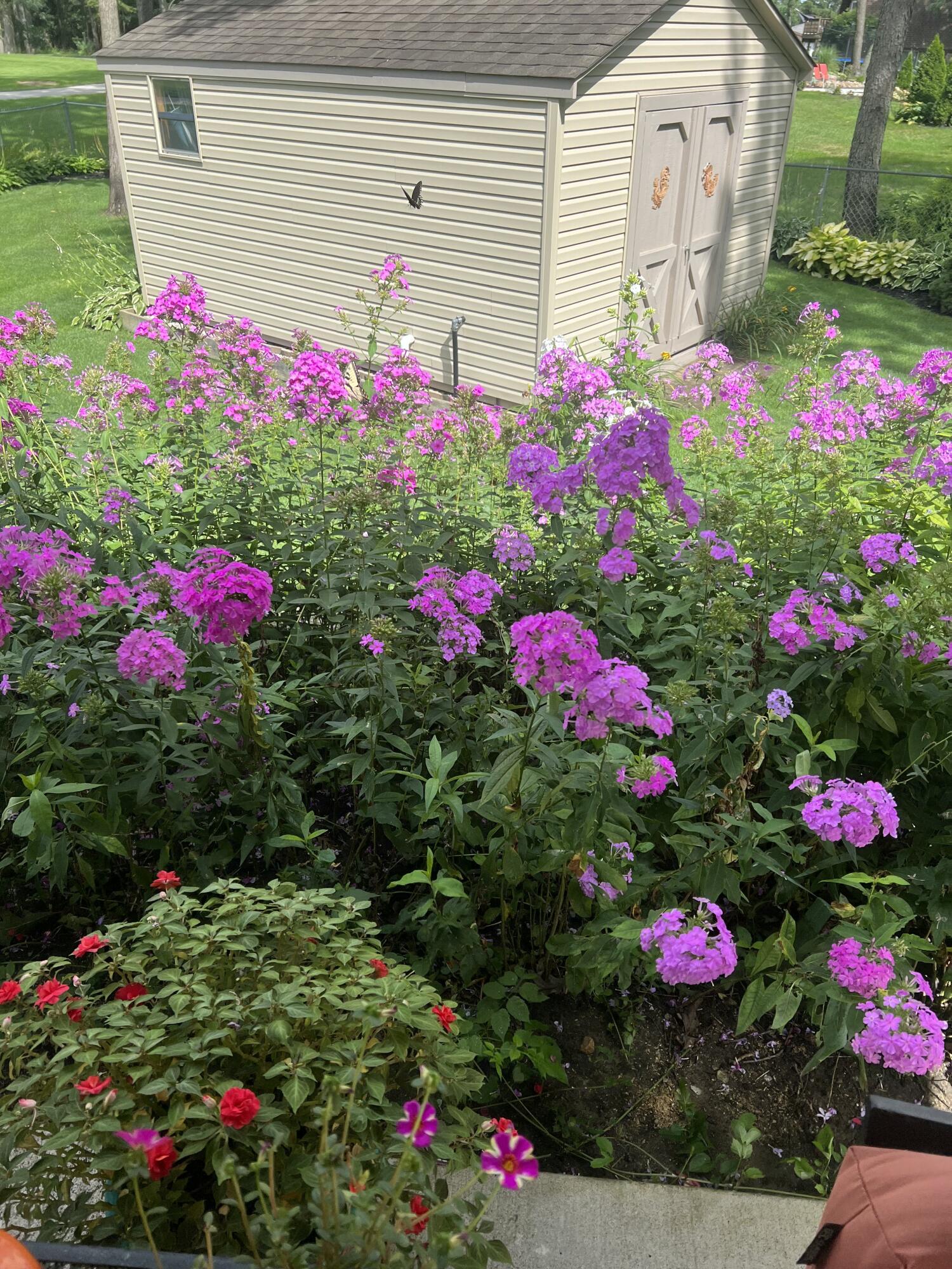 10030 Eagle Court Demotte, IN 46310 - Photo 31 of 49