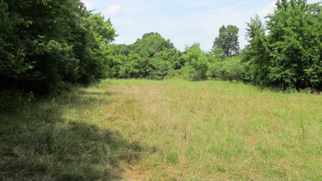 1543 Rutledge Lane Lewisburg, TN 37091 - Photo 13 of 20 a view of a lake view