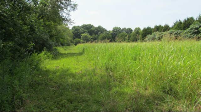 1543 Rutledge Lane Lewisburg, TN 37091 - Photo 15 of 20 a view of a lush green space