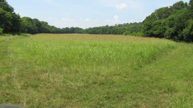 1543 Rutledge Lane Lewisburg, TN 37091 - Photo 17 of 20 a view of lake and mountain view