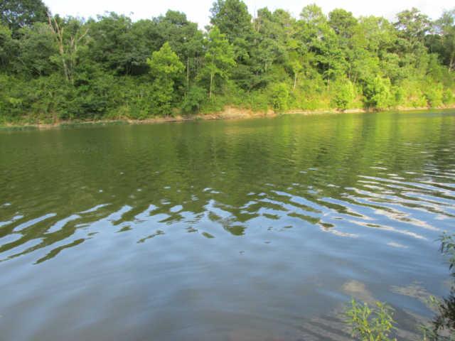 1543 Rutledge Lane Lewisburg, TN 37091 - Photo 20 of 20 a view of an ocean beach