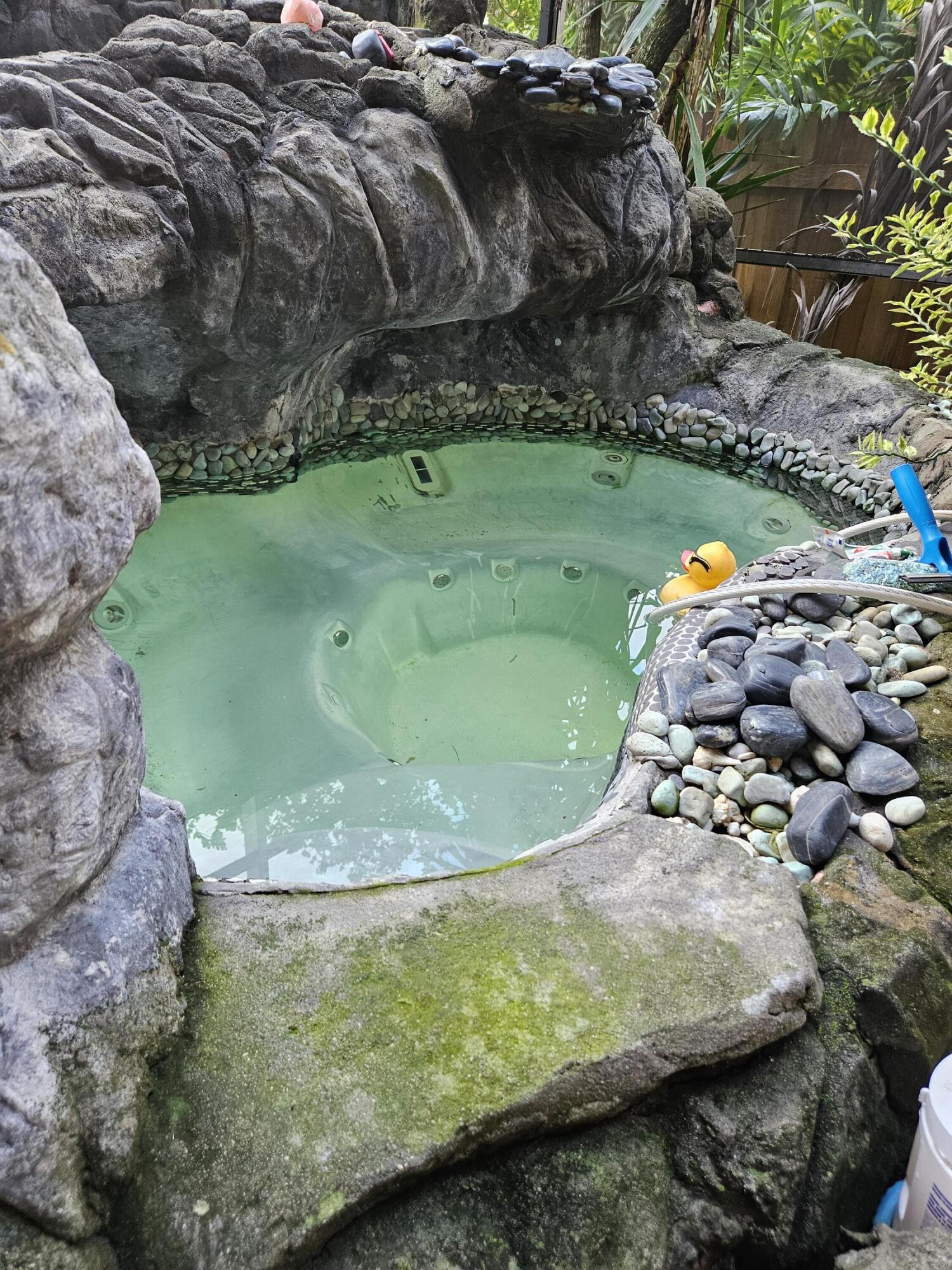 2936 Kirk Road Lake Worth, FL 33461 - Photo 6 of 23 a view of a yard with a fountain