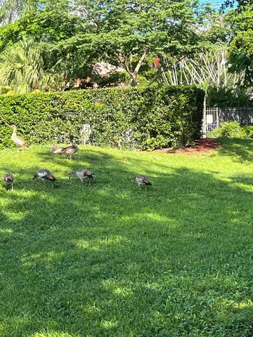 $3,900 | 2957 Myrtle Oak Circle, Davie, FL 33328