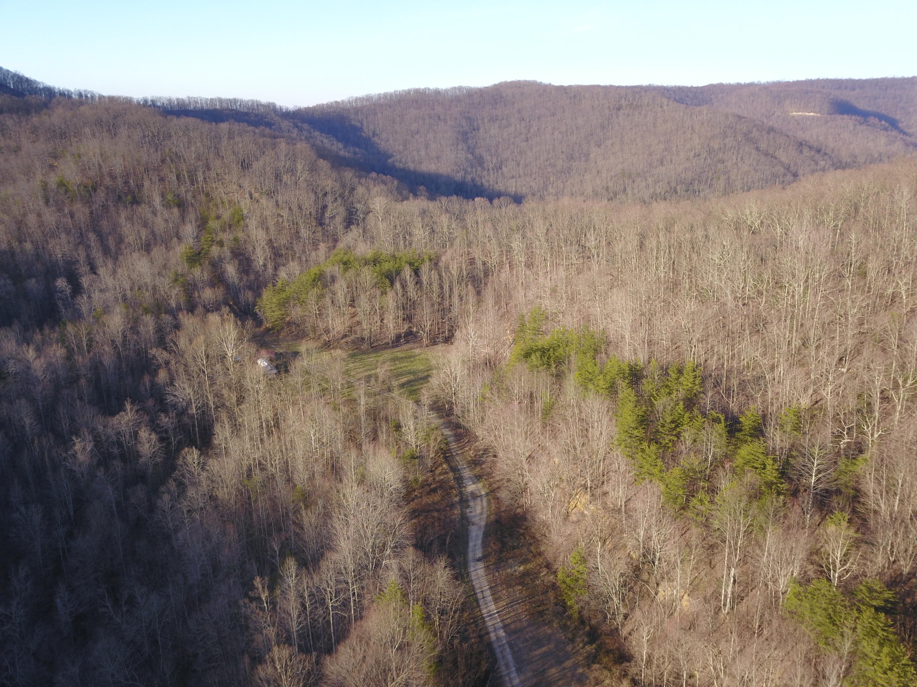243 Morningstar Road Pioneer, TN 37847 - Photo 11 of 19 picture# 16