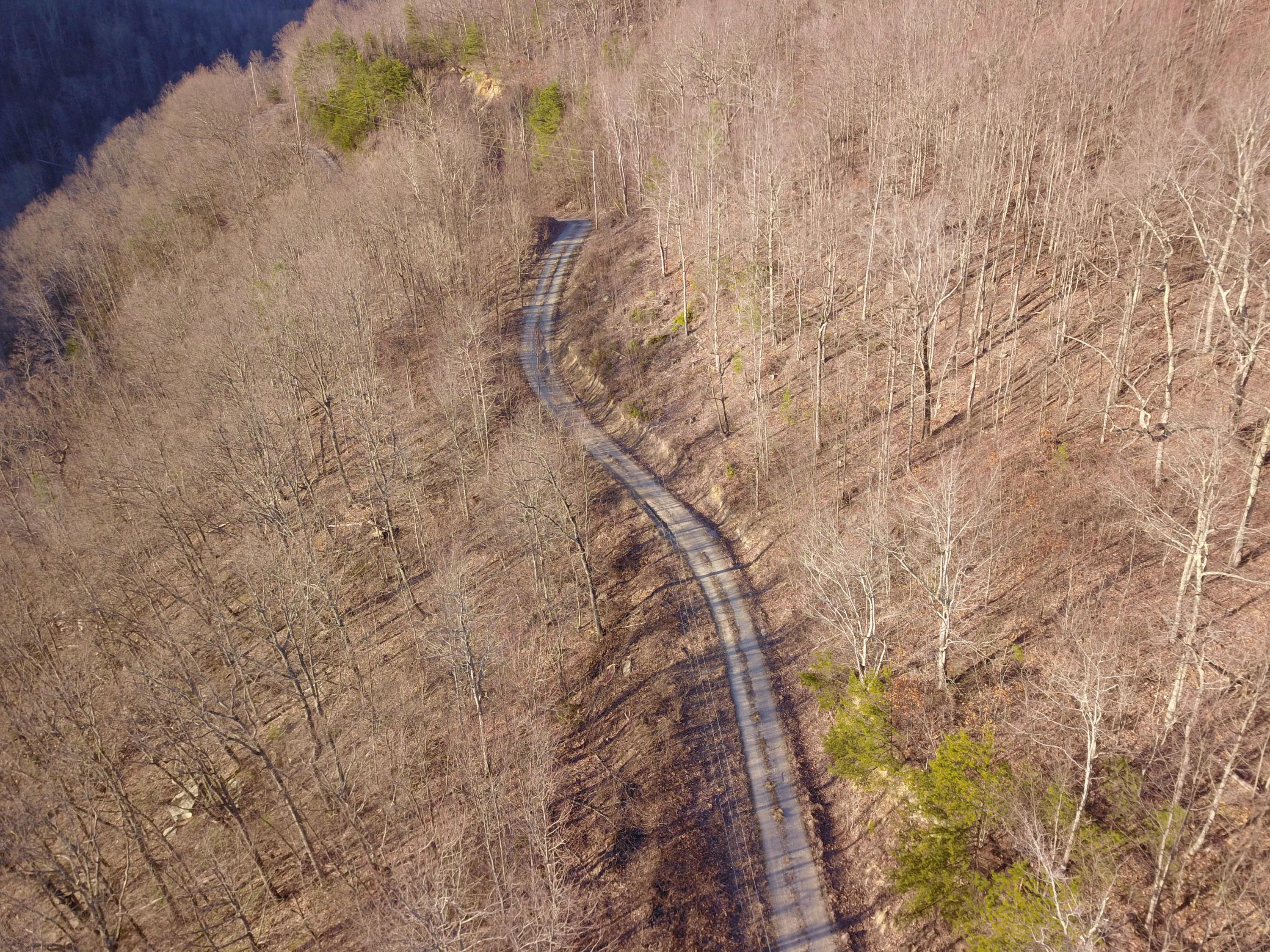 243 Morningstar Road Pioneer, TN 37847 - Photo 16 of 19 picture#4