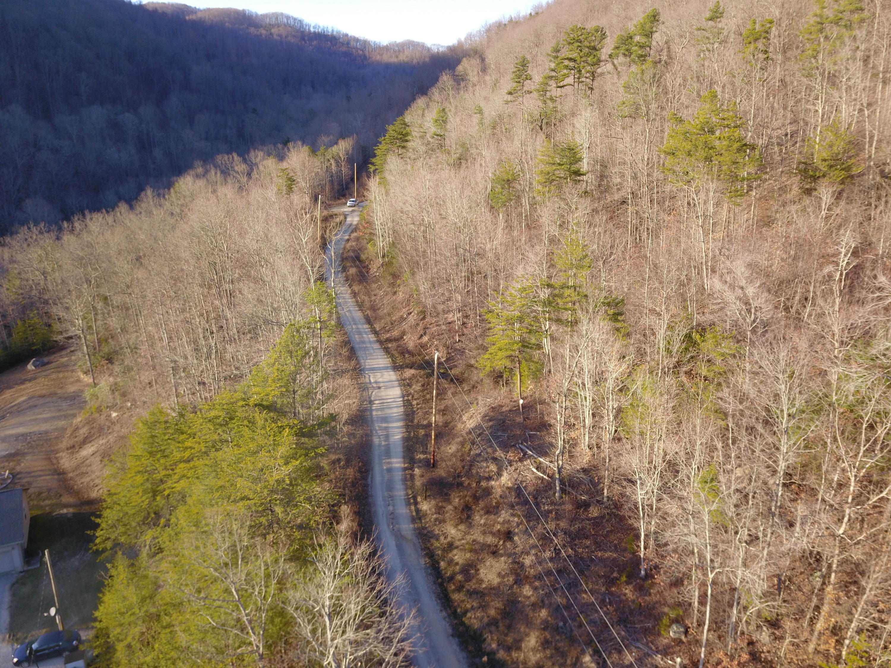 243 Morningstar Road Pioneer, TN 37847 - Photo 4 of 19 picture #3