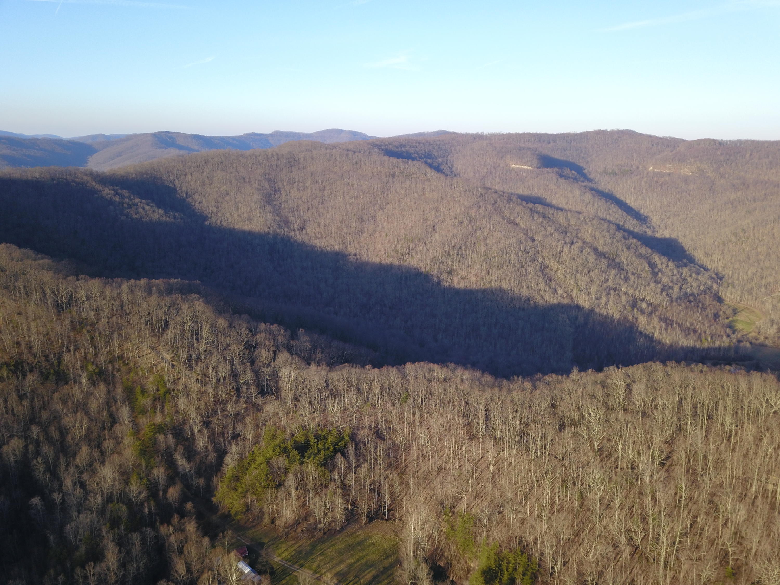 243 Morningstar Road Pioneer, TN 37847 - Photo 7 of 19 picture# 11