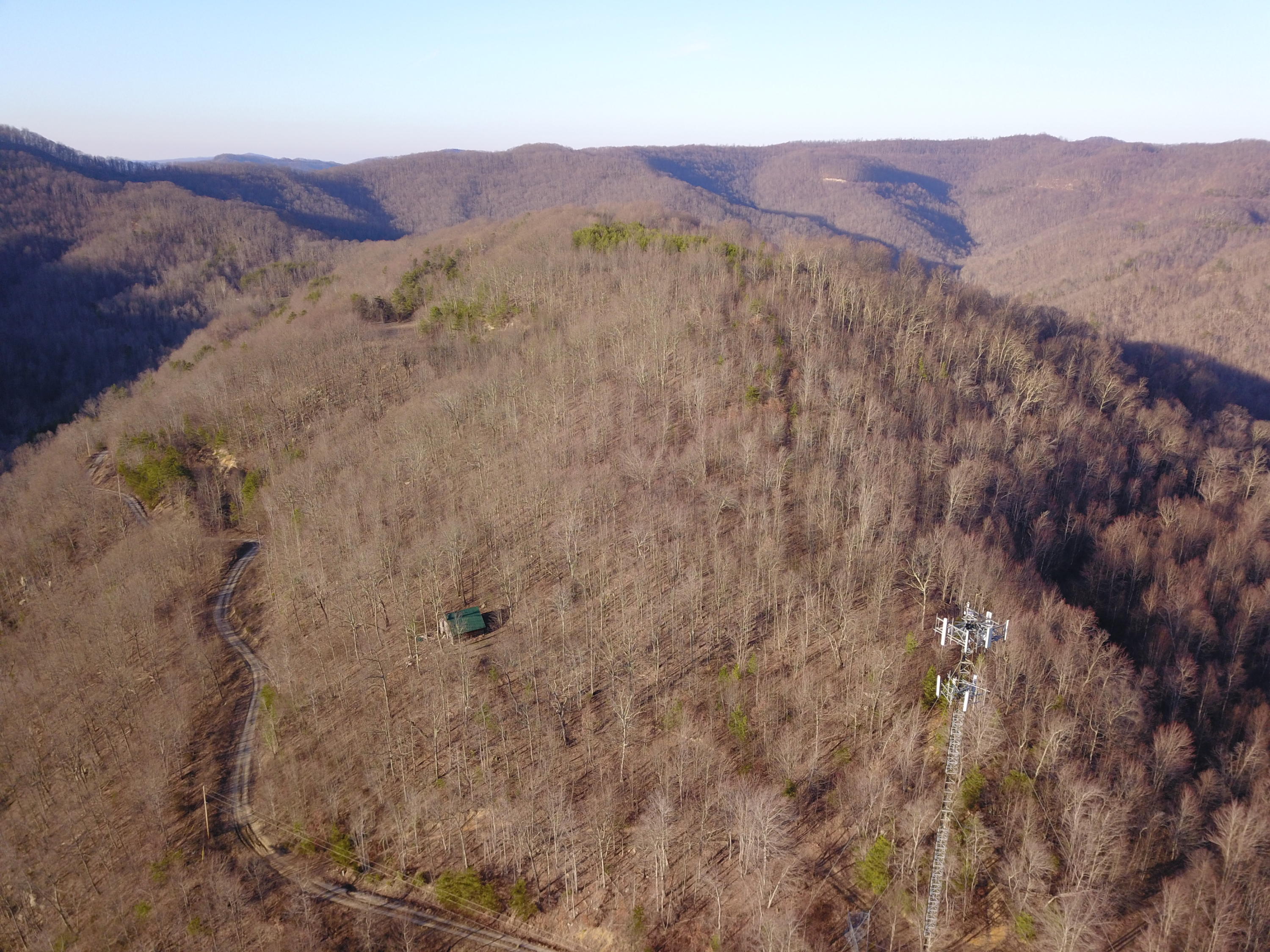 243 Morningstar Road Pioneer, TN 37847 - Photo 8 of 19 picture# 12