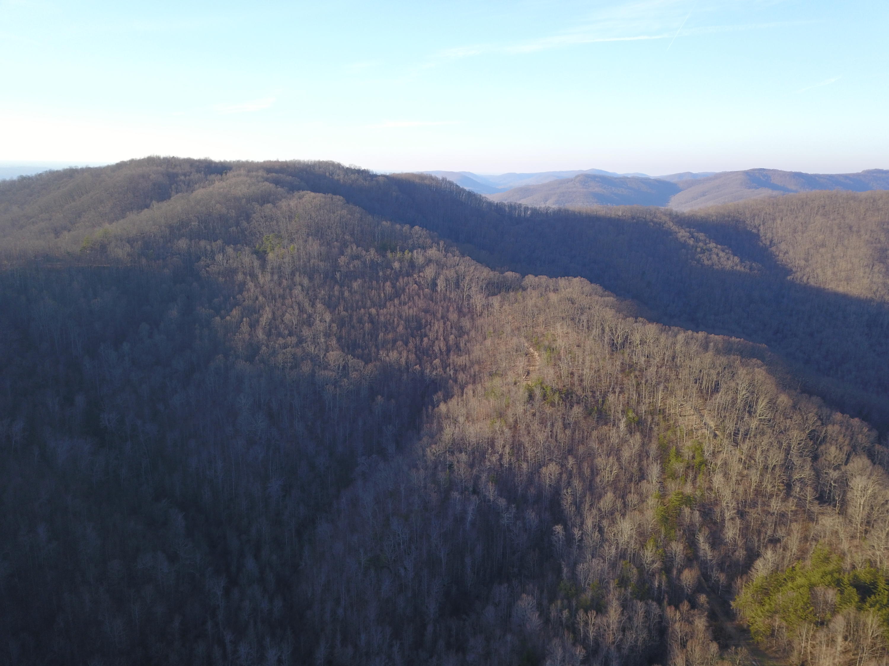 243 Morningstar Road Pioneer, TN 37847 - Photo 9 of 19 picture# 13