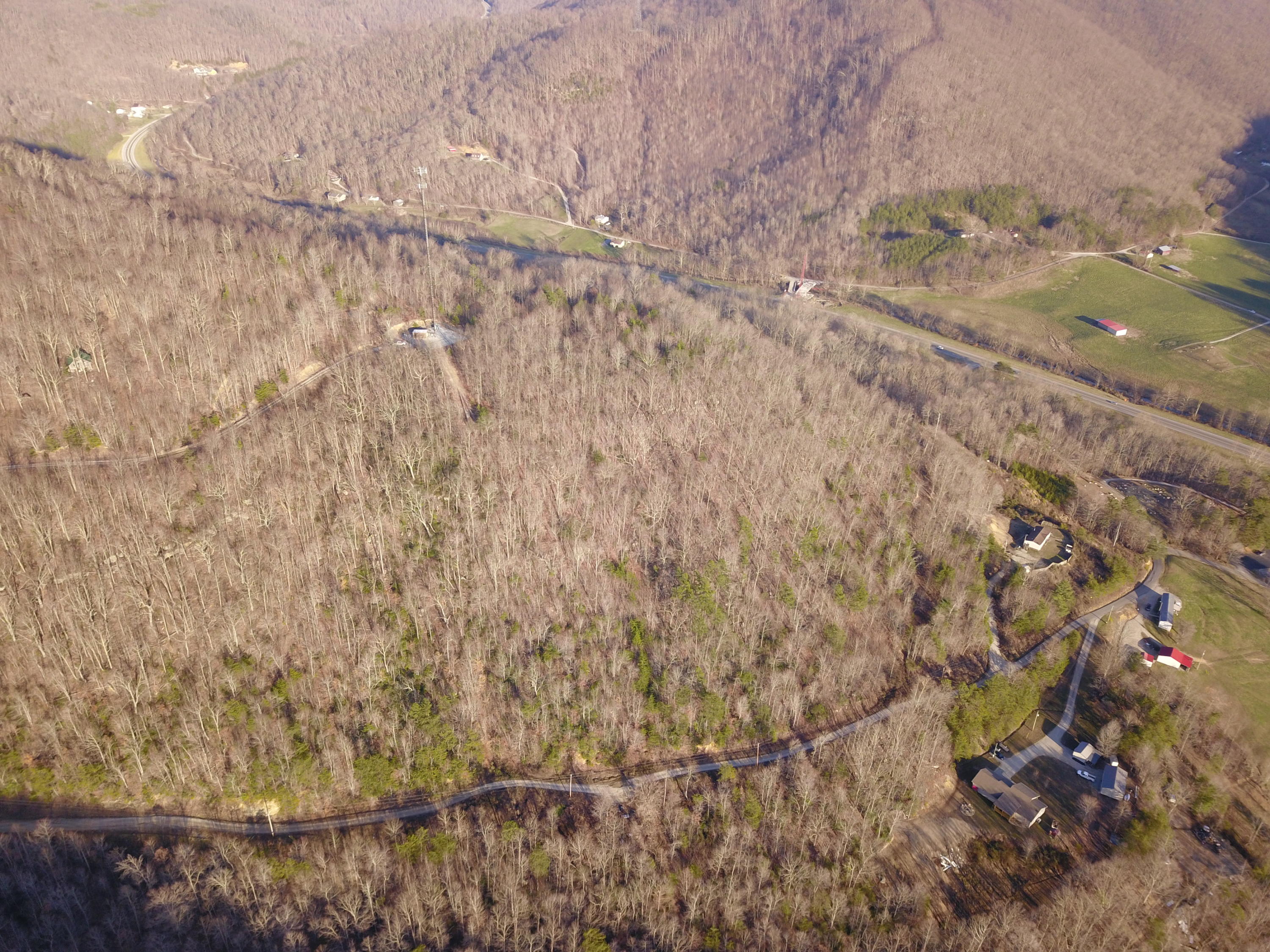 243 Morningstar Road Pioneer, TN 37847 - Photo 10 of 19 picture# 15