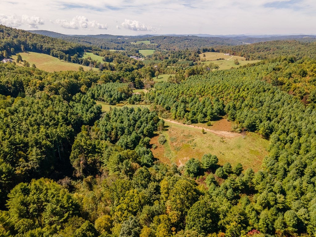 12.63-ac Shelor Road Southwest Meadows Of Dan, VA 24120 - Photo 13 of 16 Gallery Image 13
