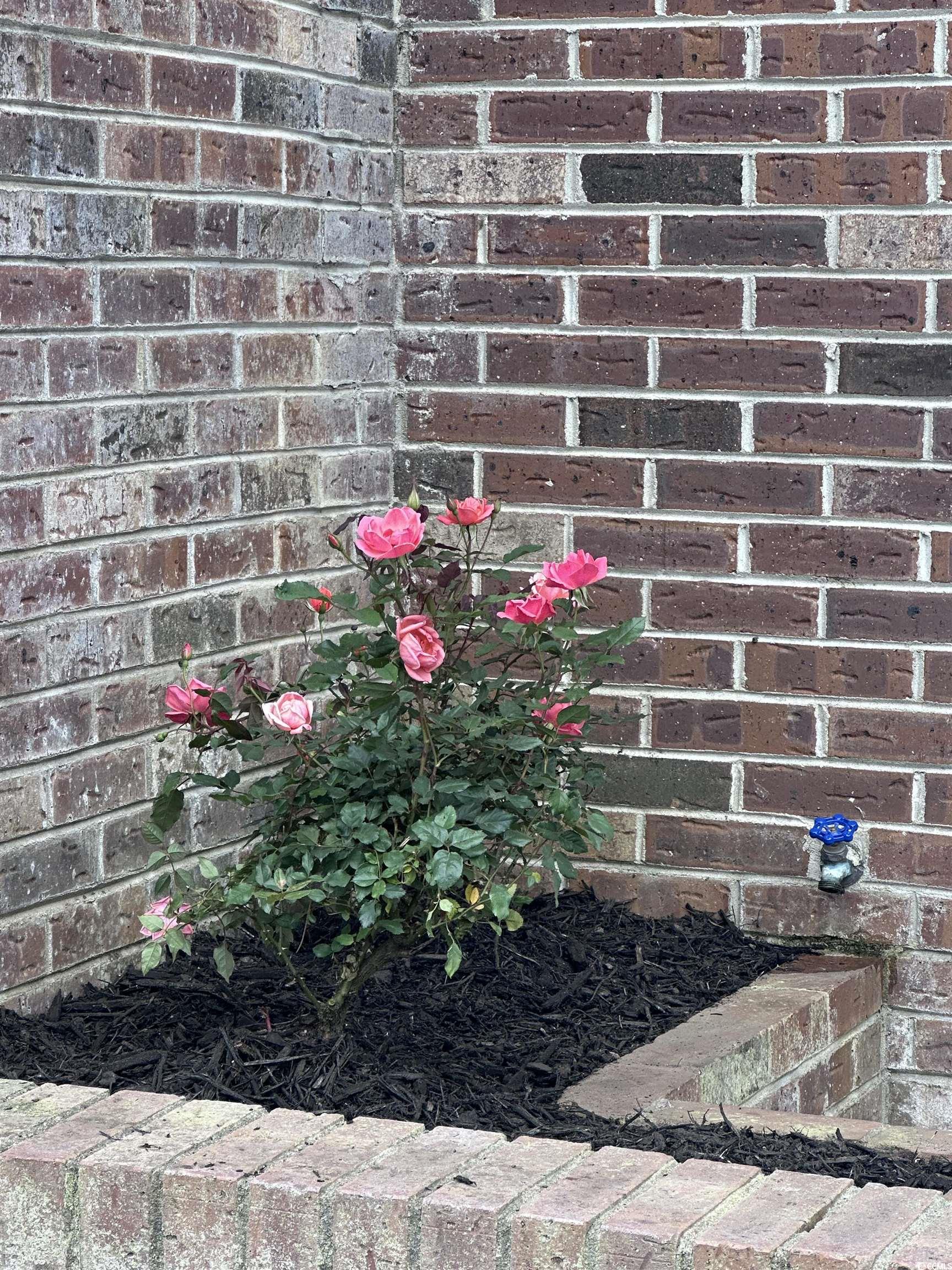 401 Garden Drive, Unit 100B Myrtle Beach, SC 29575 - Photo 23 of 23 Exterior view of brick siding