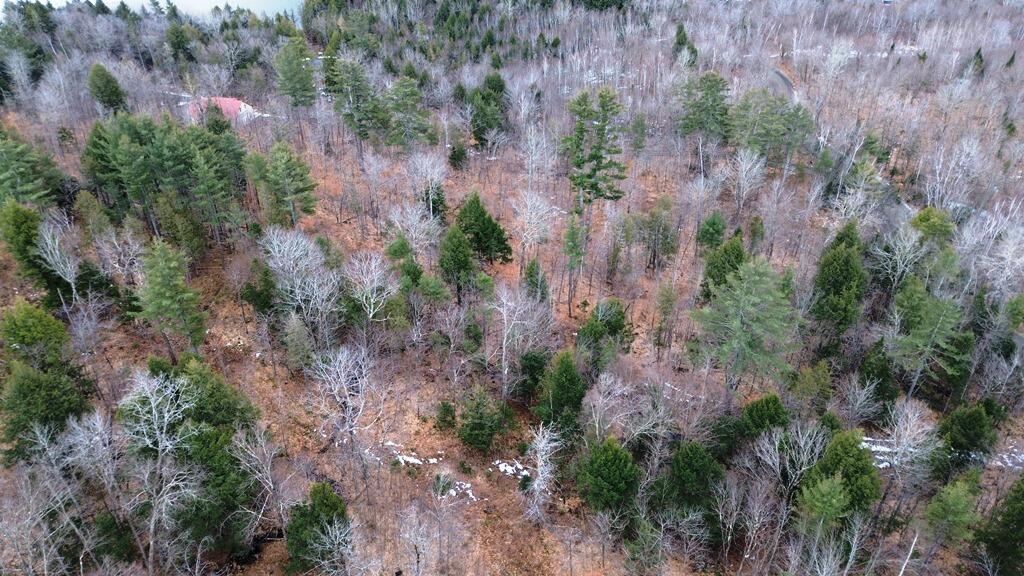Lot 6 Peterson Road Dover-Foxcroft, ME 04426 - Photo 7 of 21 DJI_0017