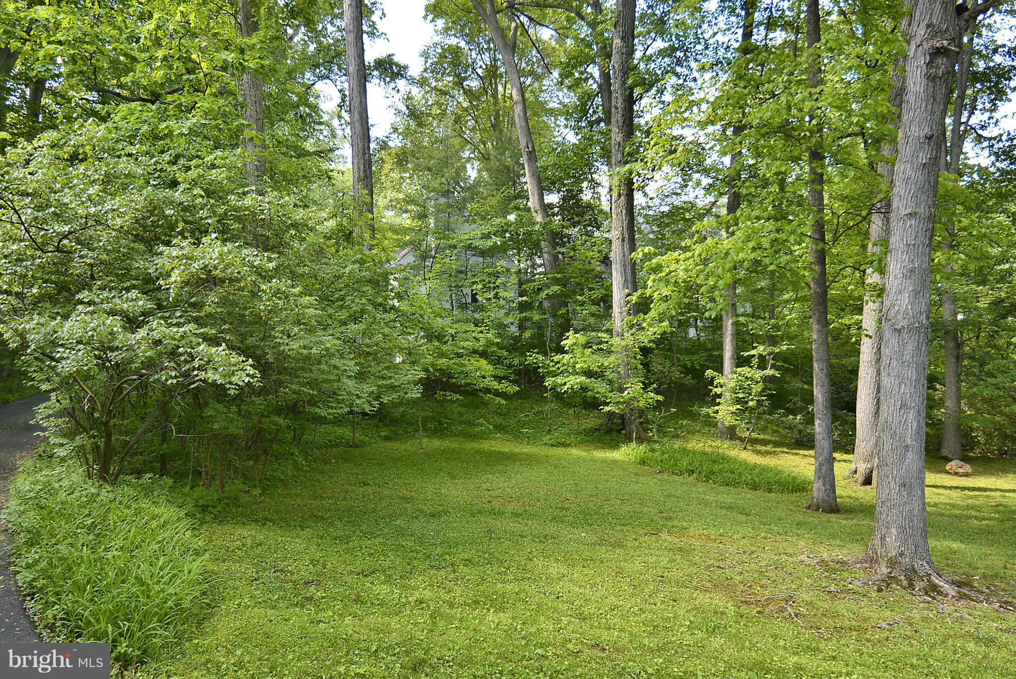 3100 Rolling Road Chevy Chase, MD 20815 - Photo 5 of 30 Front Yard