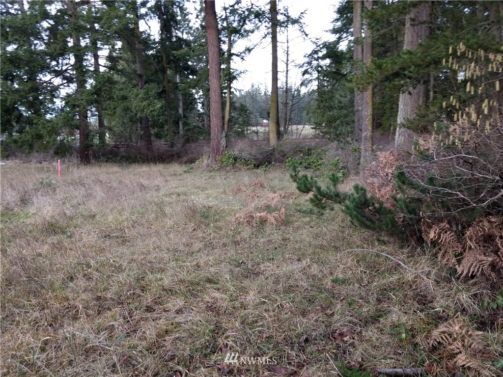 1782 South Jacob Miller Road Port Townsend, WA 98368 - Photo 11 of 15 Gallery Image 11