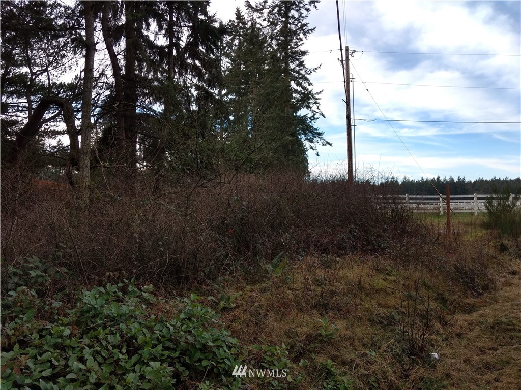 1782 South Jacob Miller Road Port Townsend, WA 98368 - Photo 3 of 15 Gallery Image 3