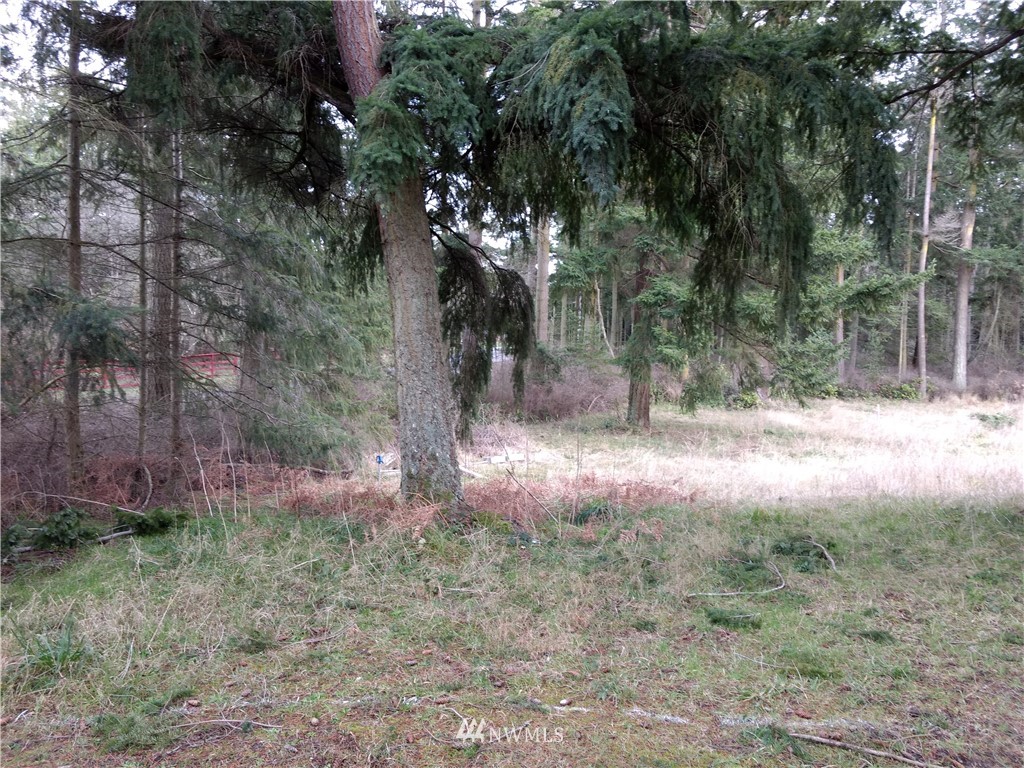 1782 South Jacob Miller Road Port Townsend, WA 98368 - Photo 5 of 15 Gallery Image 5