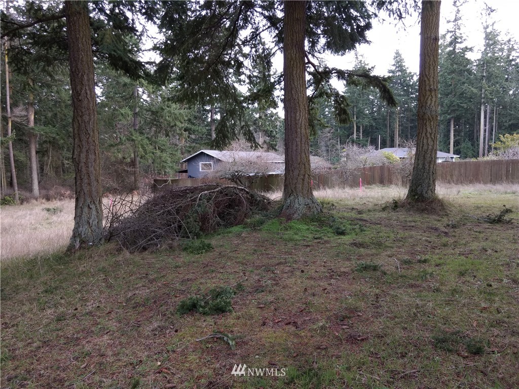 1782 South Jacob Miller Road Port Townsend, WA 98368 - Photo 6 of 15 Gallery Image 6