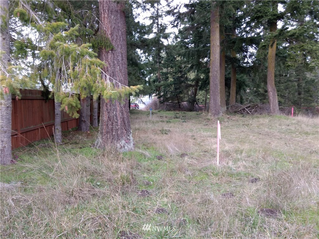 1782 South Jacob Miller Road Port Townsend, WA 98368 - Photo 8 of 15 Gallery Image 8